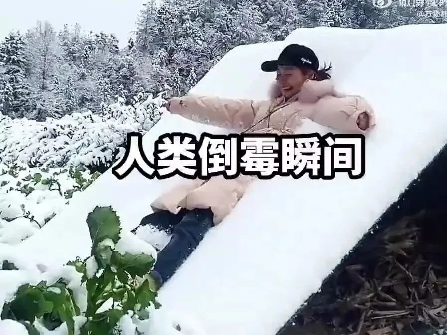 Word文档图片