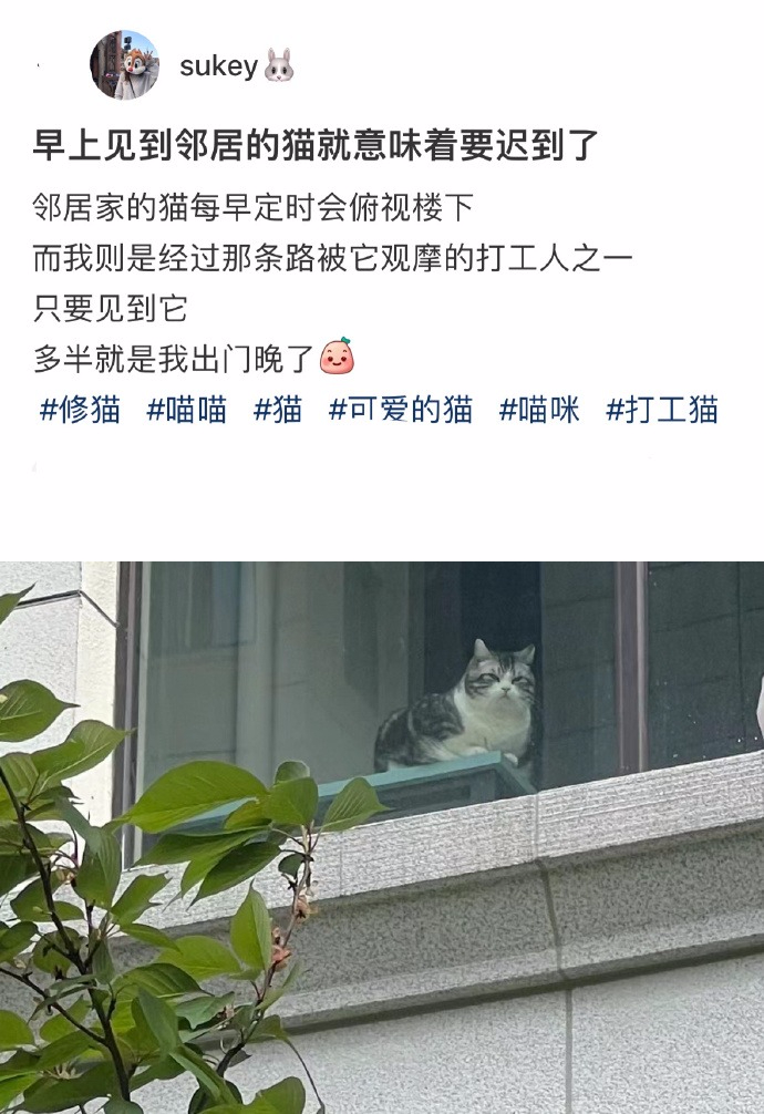 Word文档图片