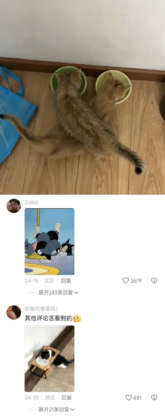 Word文档图片