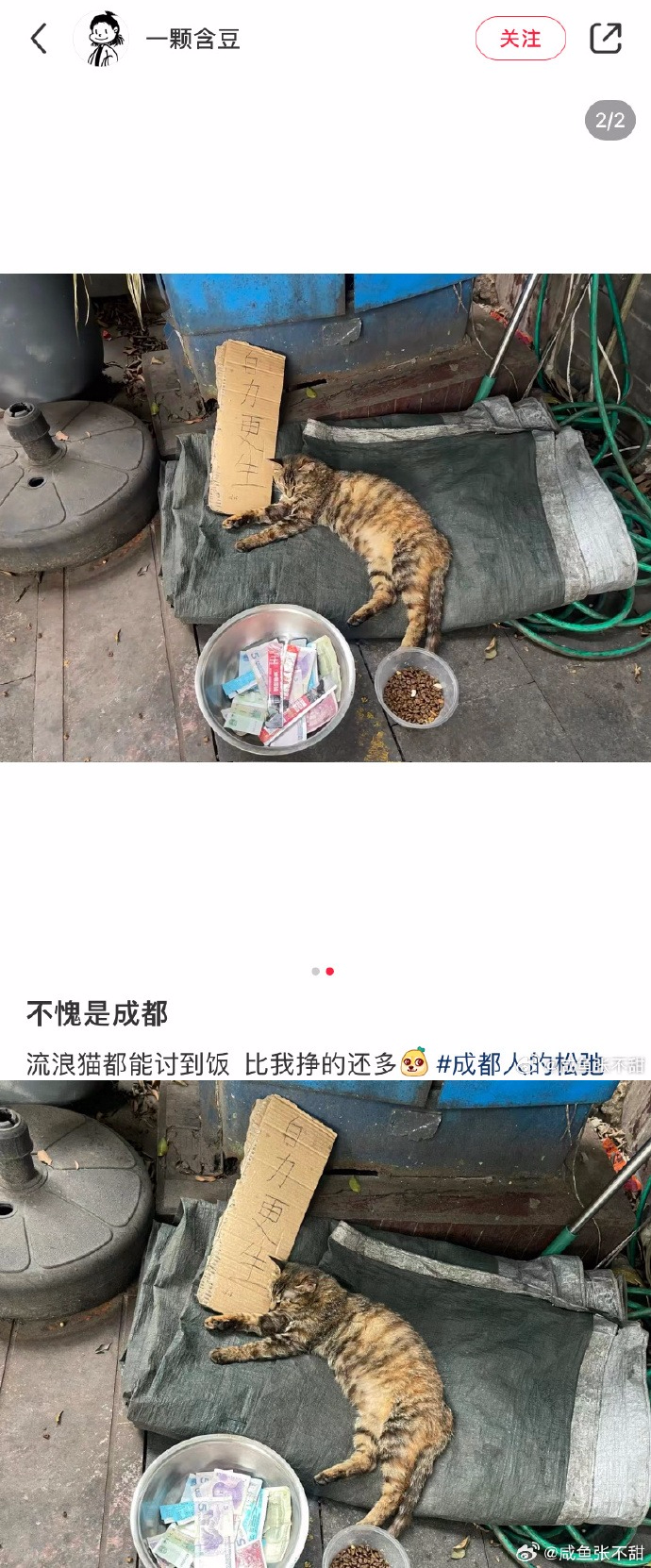 Word文档图片