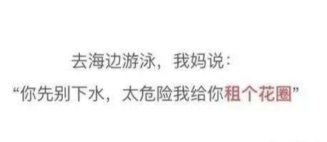 Word文档图片