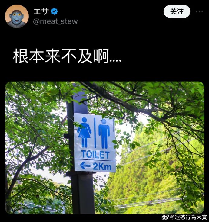 Word文档图片