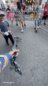 Word文档图片