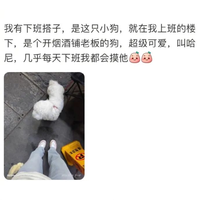 Word文档图片