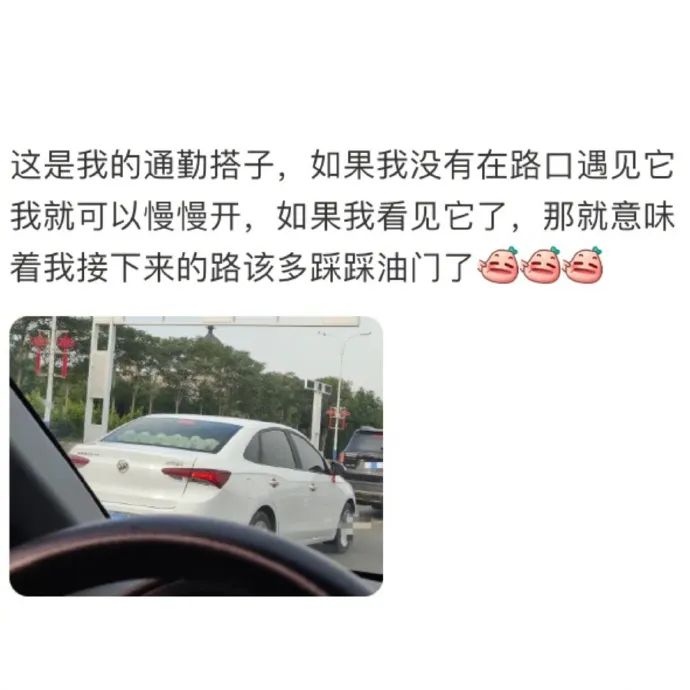 Word文档图片