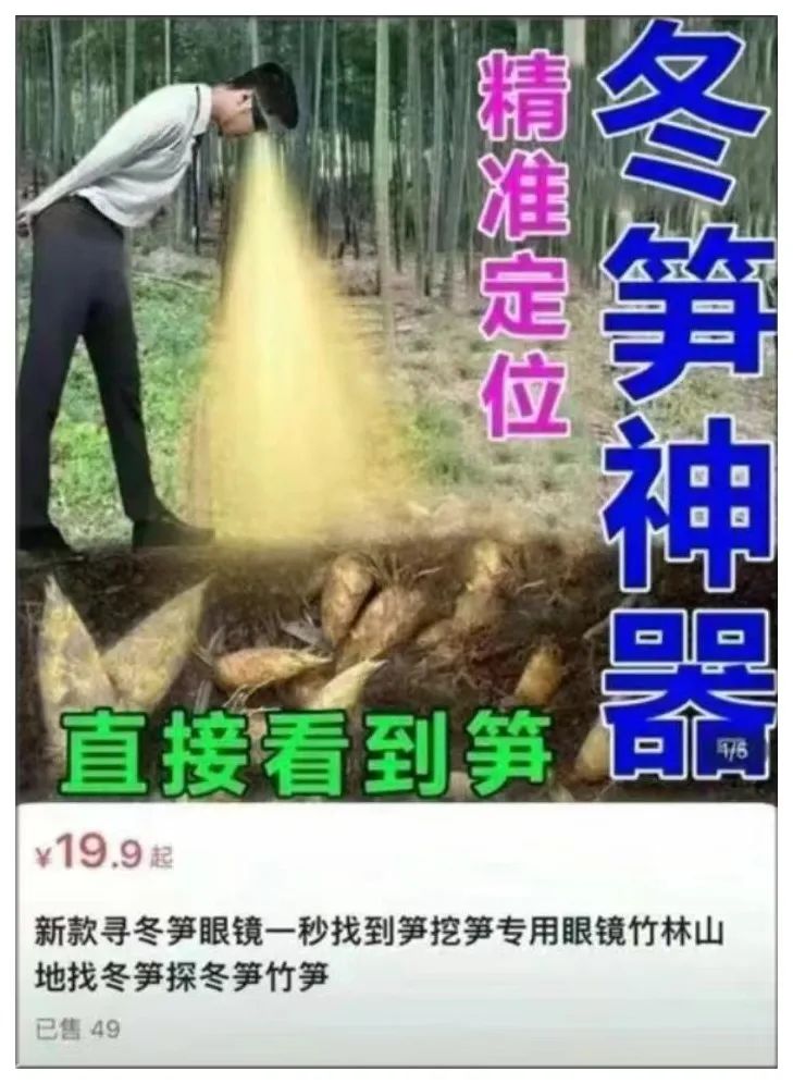 Word文档图片