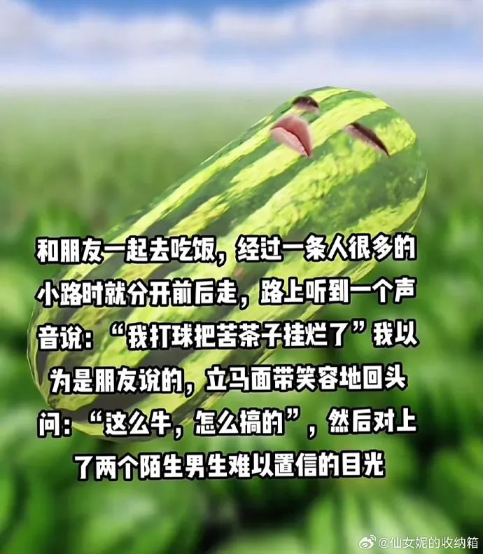 Word文档图片