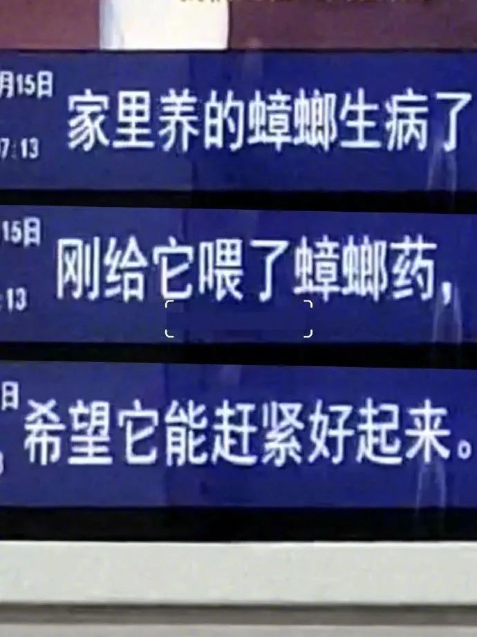 Word文档图片