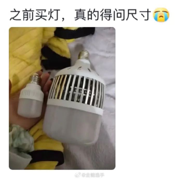 Word文档图片