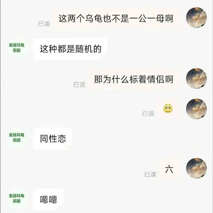 Word文档图片