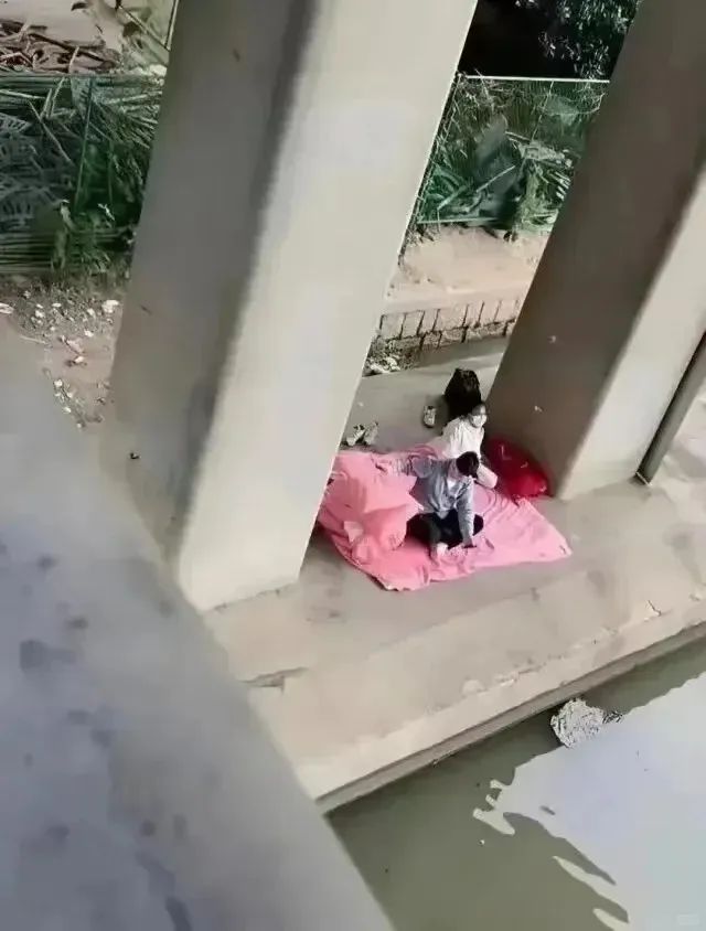 Word文档图片