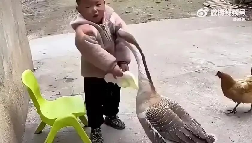 Word文档图片