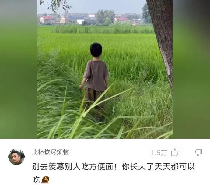 Word文档图片
