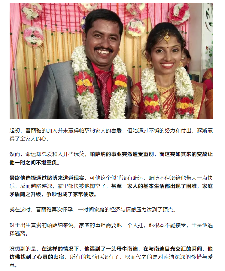 Word文档图片