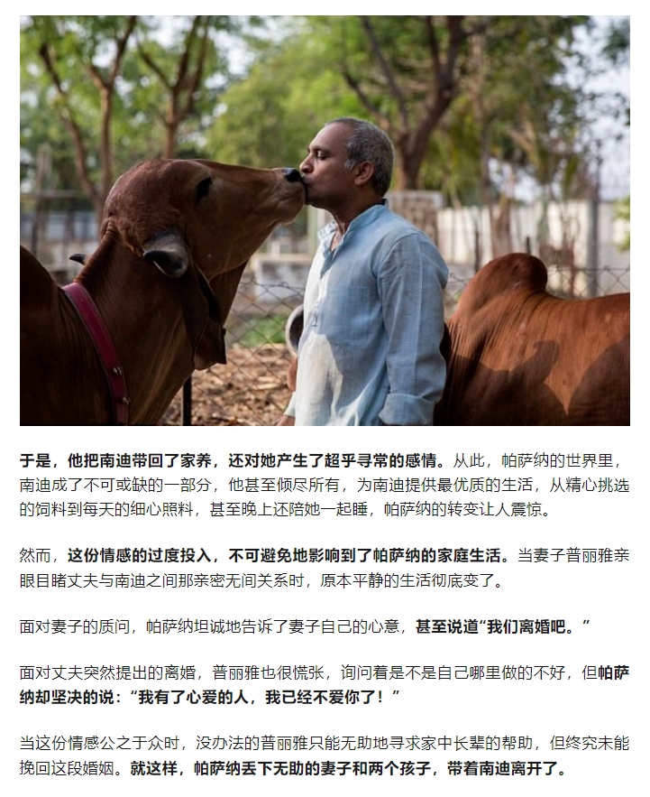 Word文档图片