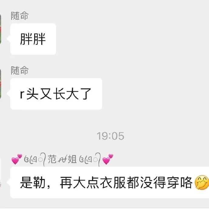 Word文档图片