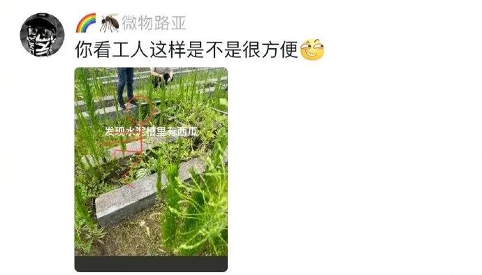 Word文档图片