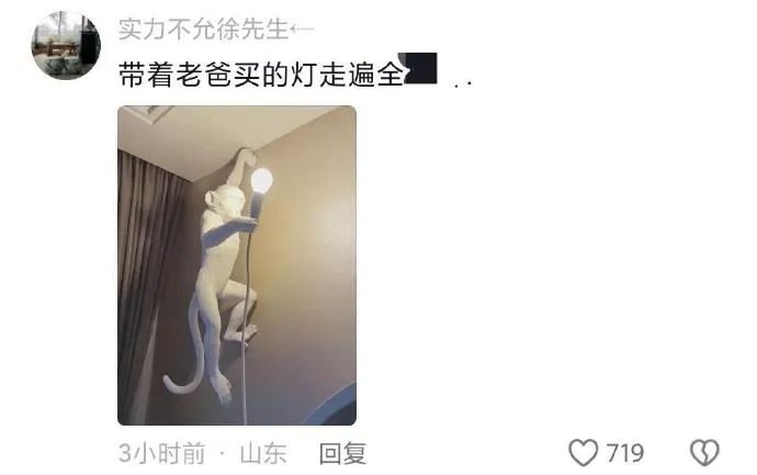 Word文档图片