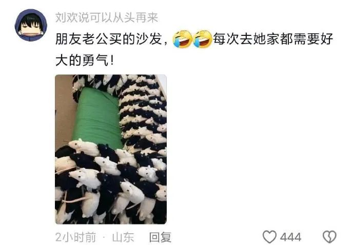 Word文档图片