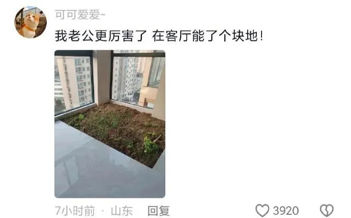 Word文档图片