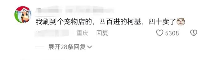 Word文档图片