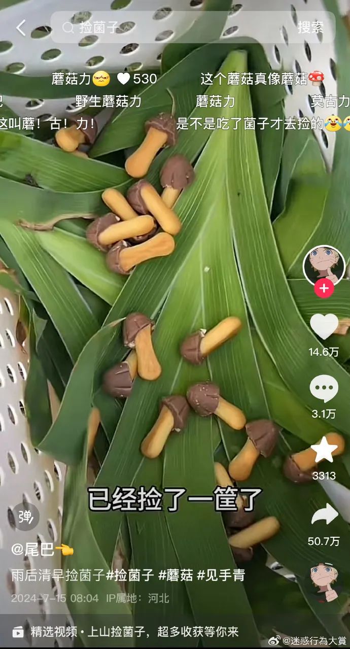 Word文档图片