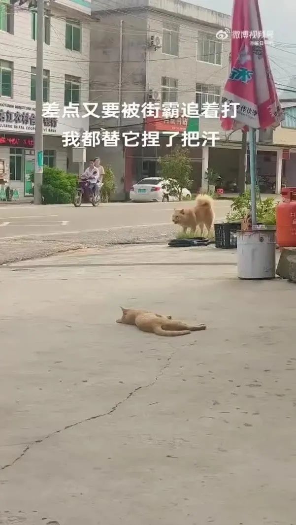 Word文档图片