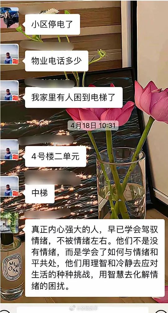 Word文档图片