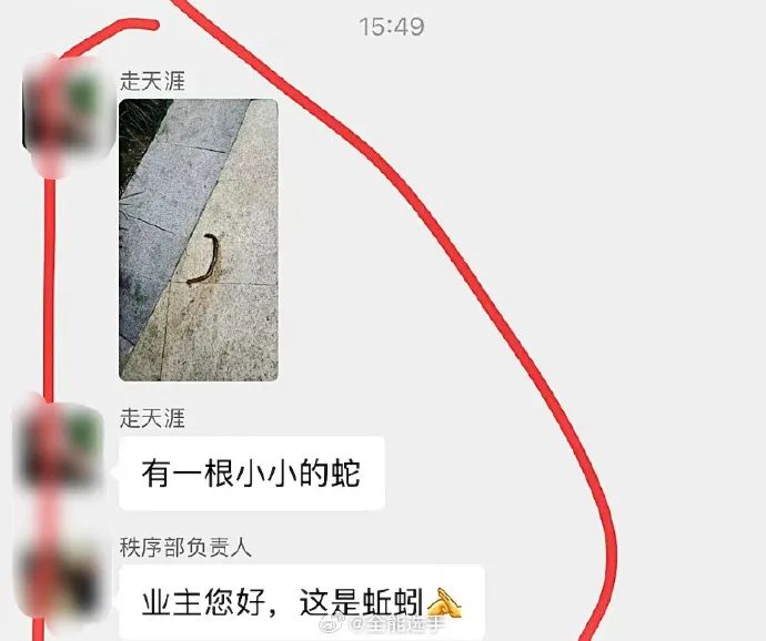 Word文档图片