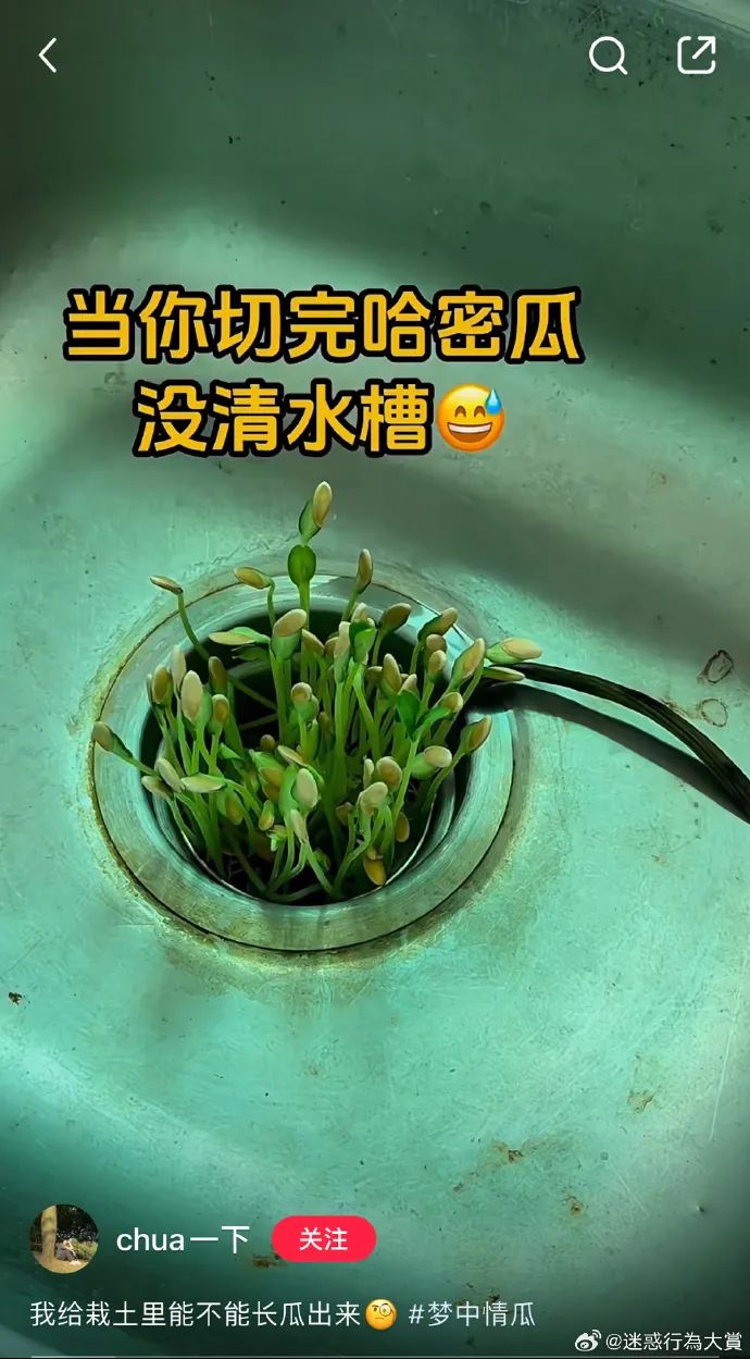 Word文档图片