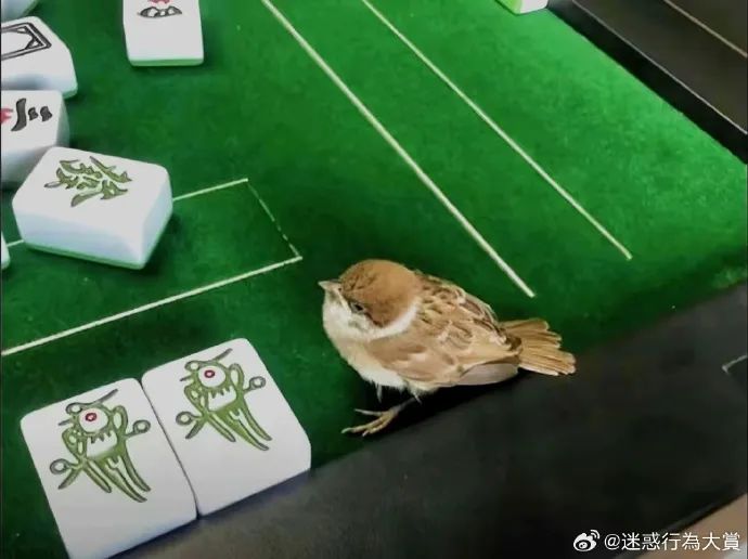 Word文档图片