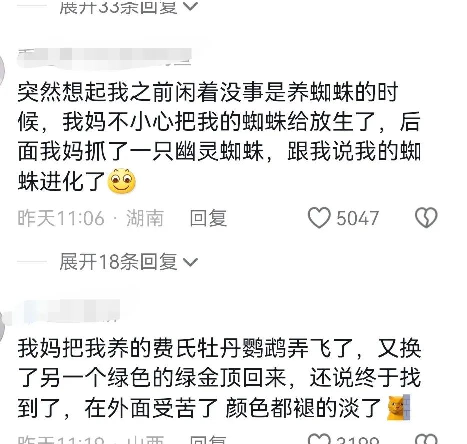 Word文档图片