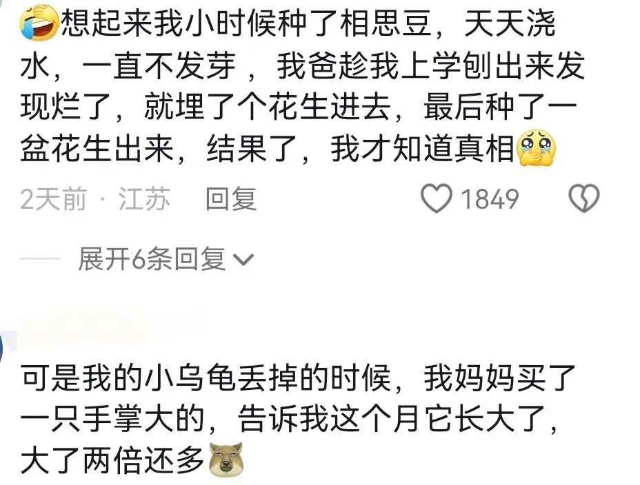 Word文档图片