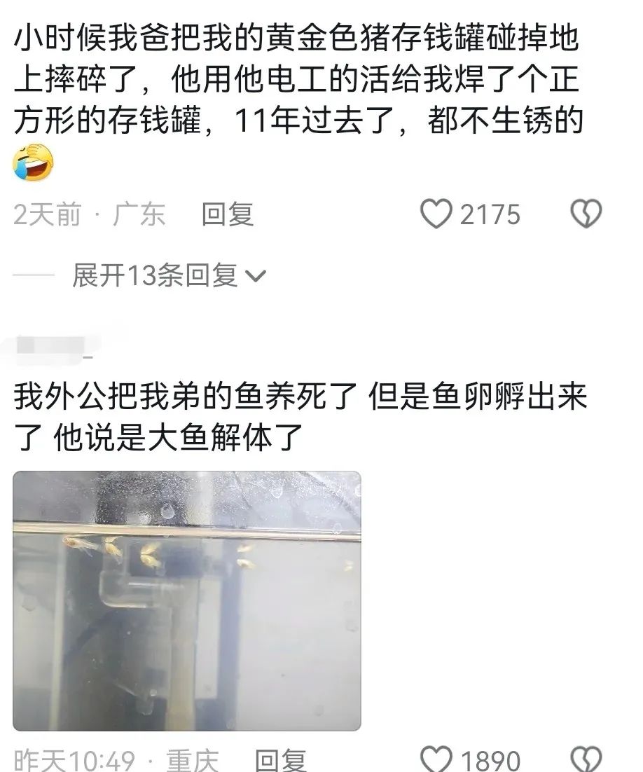 Word文档图片