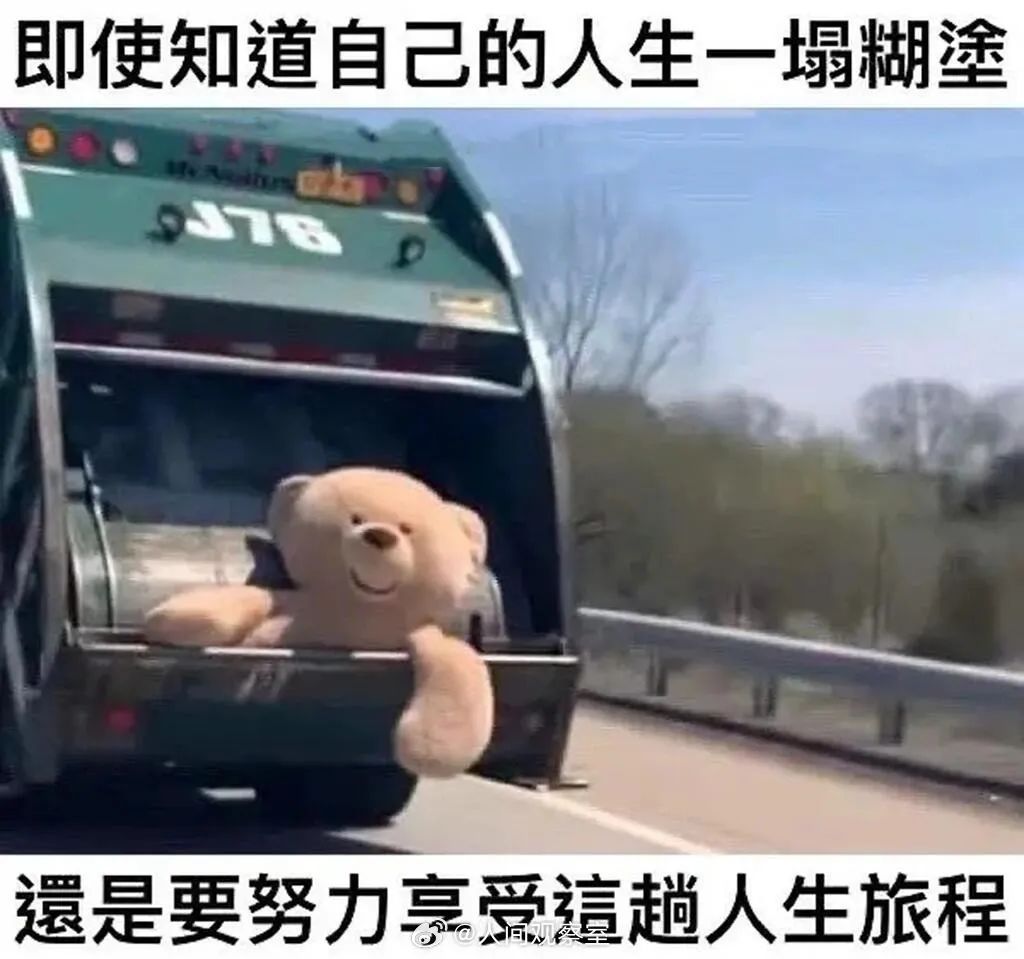 Word文档图片