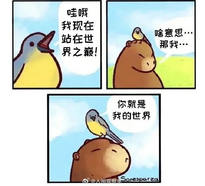 Word文档图片