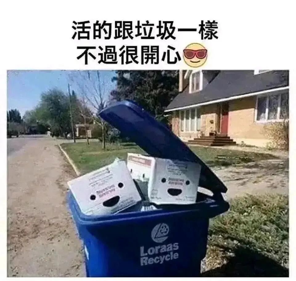 Word文档图片