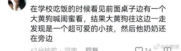 Word文档图片