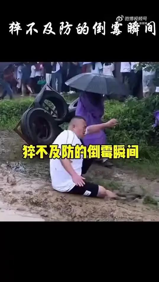 Word文档图片
