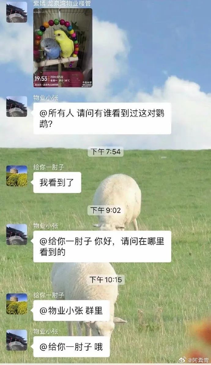 Word文档图片