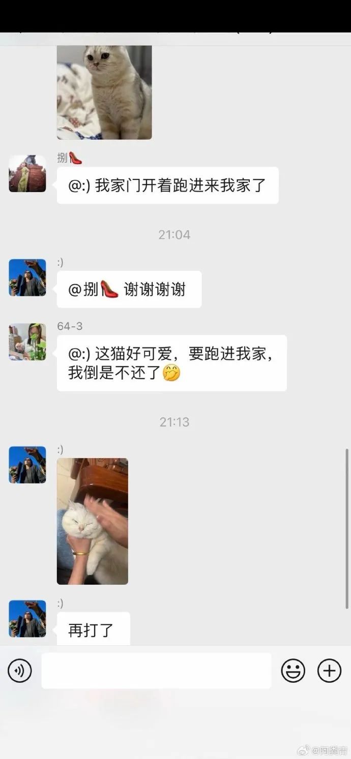 Word文档图片