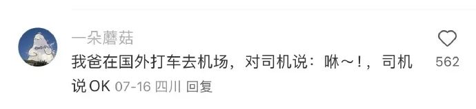 Word文档图片