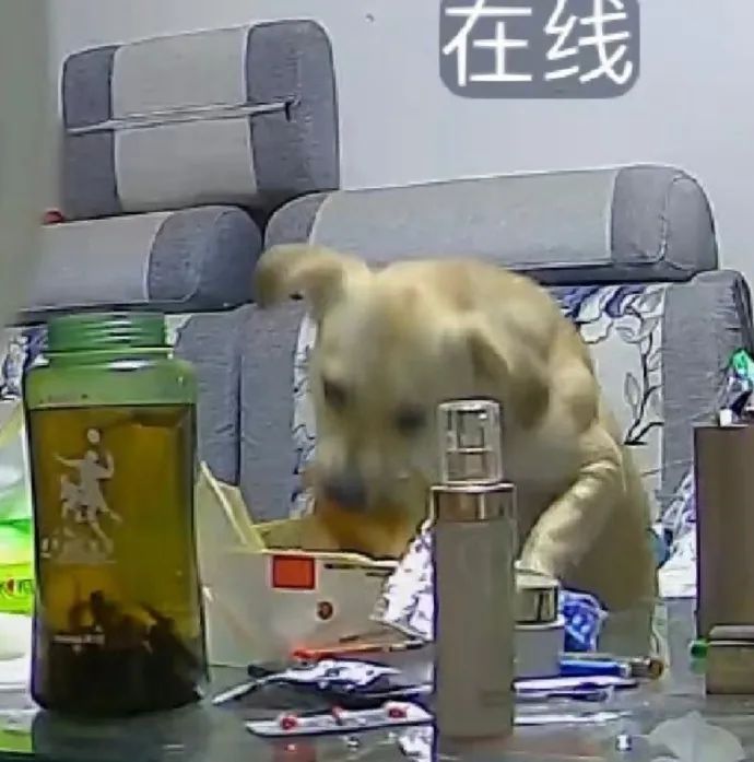 Word文档图片