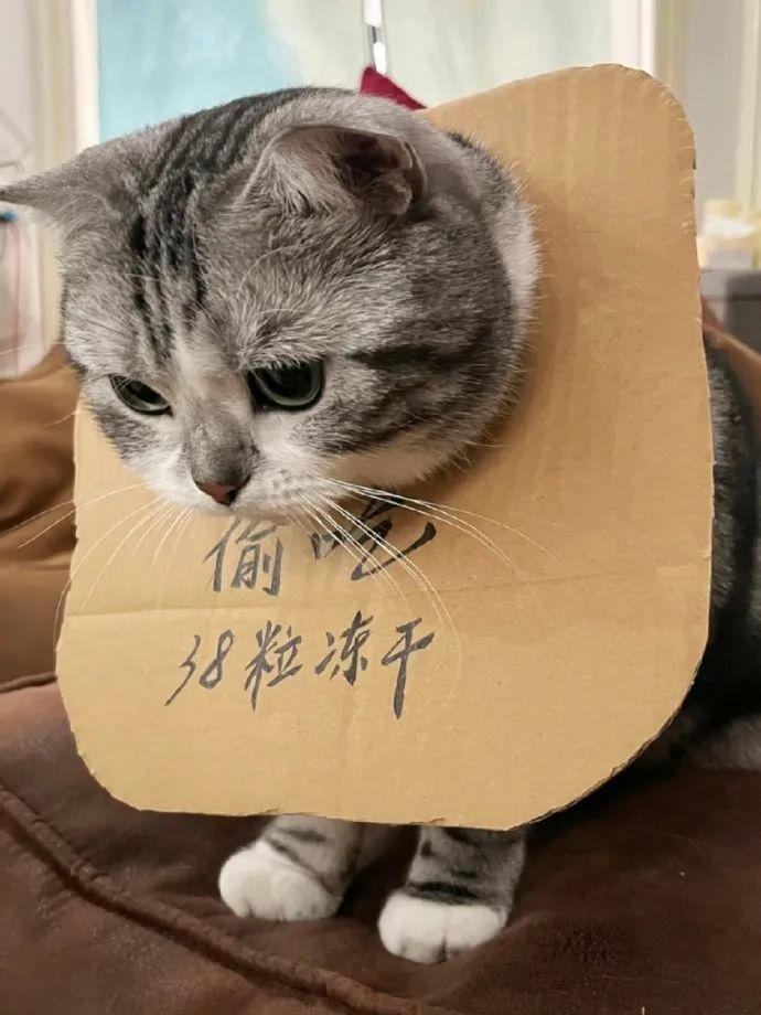 Word文档图片