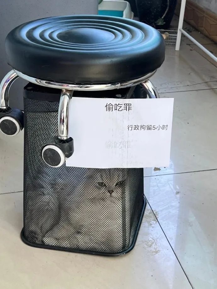 Word文档图片