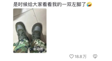 Word文档图片
