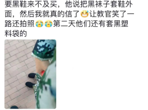 Word文档图片