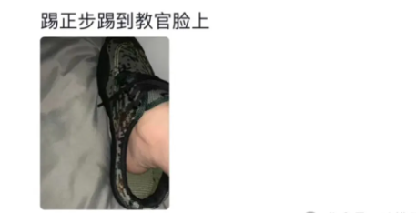 Word文档图片