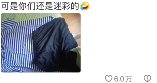 Word文档图片