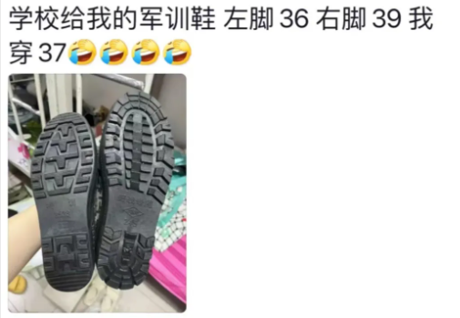 Word文档图片